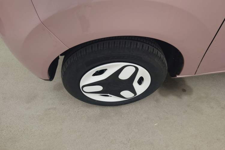 Used  Panda 2025 210 km – Yuanqi Bear