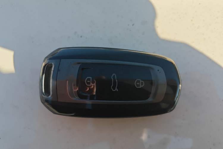 Used  Panda 2025 210 km – Yuanqi Bear