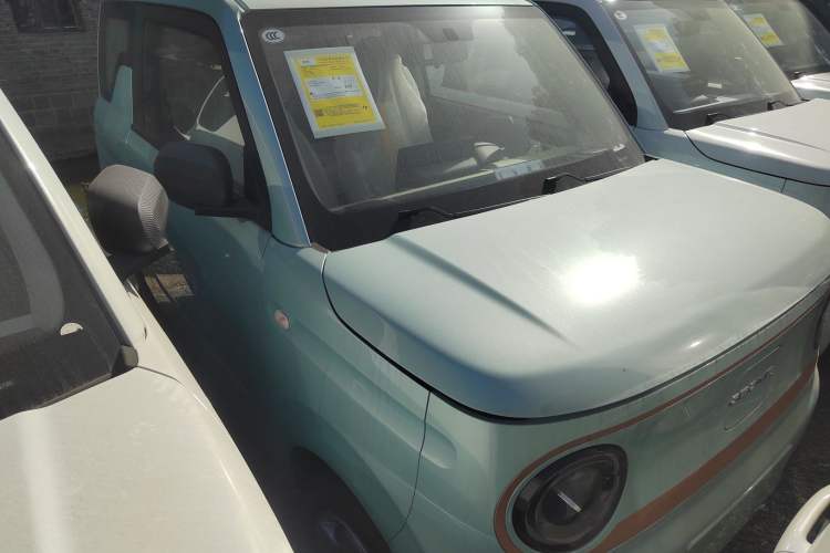 Used  Panda 2024 Panda Mini 200km Endurance Bear