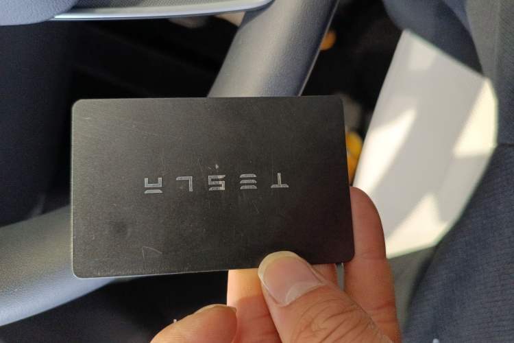 Used Tesla Model Y 2025 Rear-Wheel Drive First Edition
