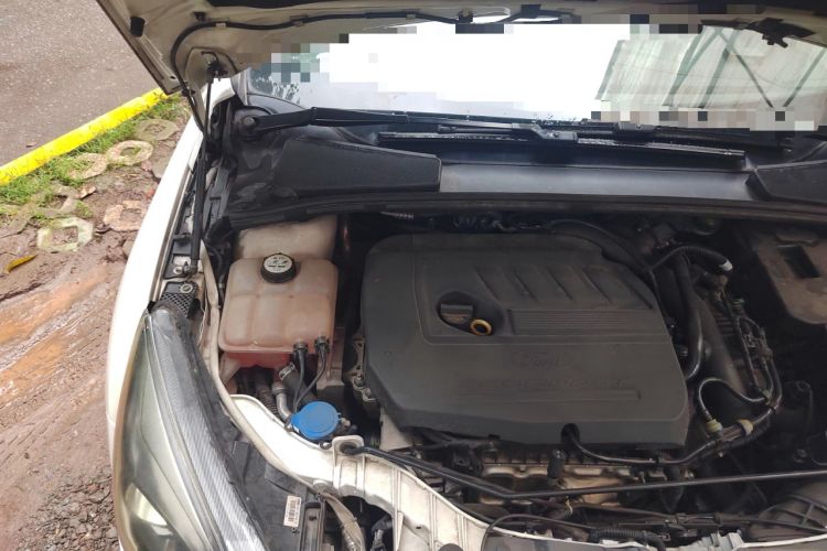 Used Ford Focus 2017 Hatchback EcoBoost 180 Automatic Elite Model
