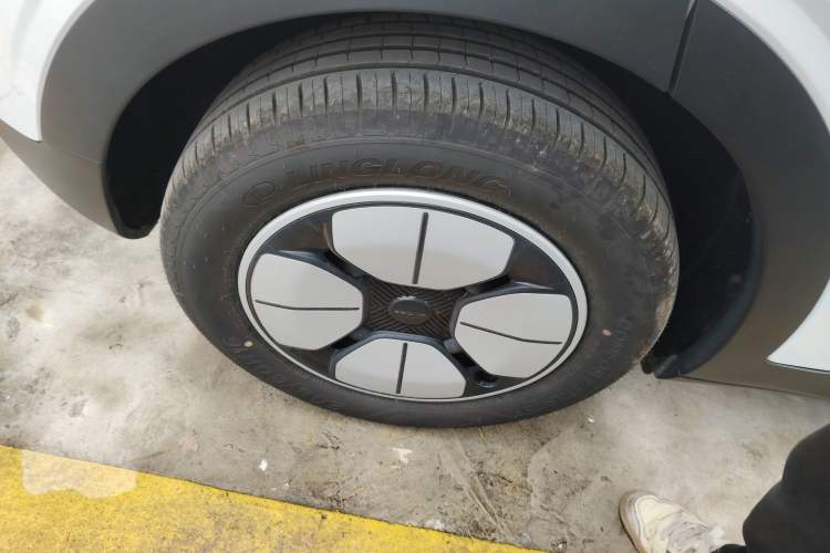 Used  Geome 2025 310km Youth Edition