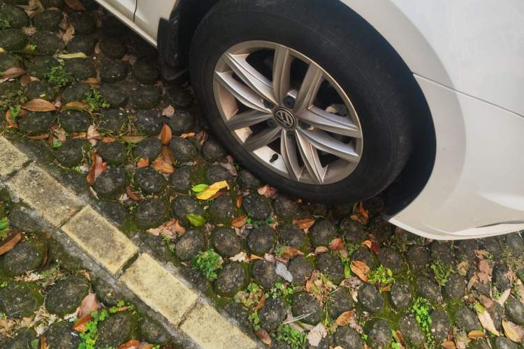 Used Volkswagen Golf 2019 1.6L Automatic Comfort Model China V Standard
