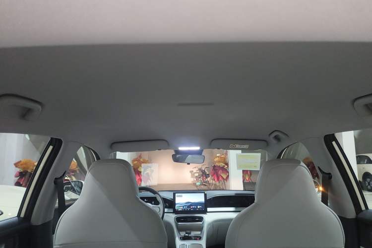 Used  Geome 2025 310km Youth Edition
