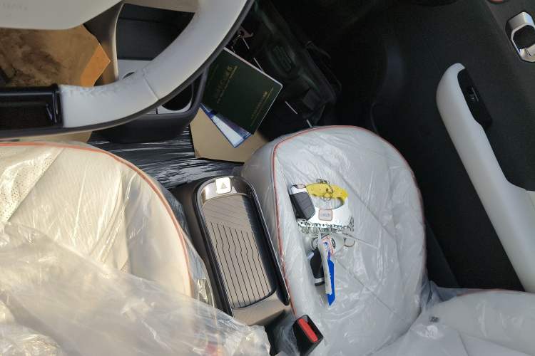 Used Chery Little Ant 2024 Facelifted 321km Beloved Edition