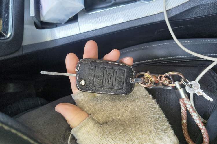 Used Roewe RX5 2019 20T Two-Wheel Drive Manual 4G Connect Platinum Edition
