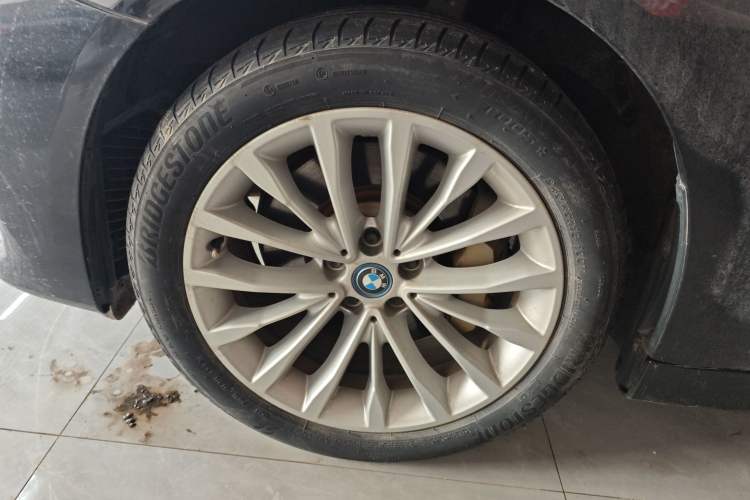 Used BMW 5 Series New Energy 2019 530Le Luxury Package