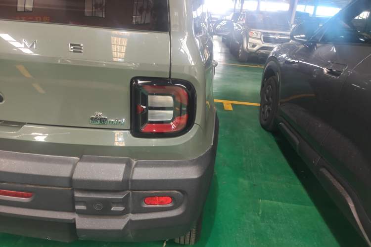 Used  Panda 2024 200km Panda Rider