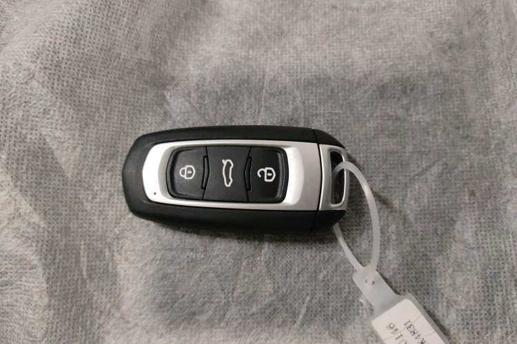 Used  Panda 2024 Panda Mini 200km Longteng PRO Edition
