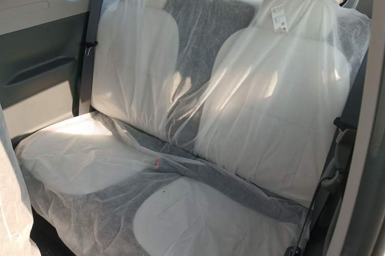 Used  Panda 2025 210 km – Yuanqi Bear
