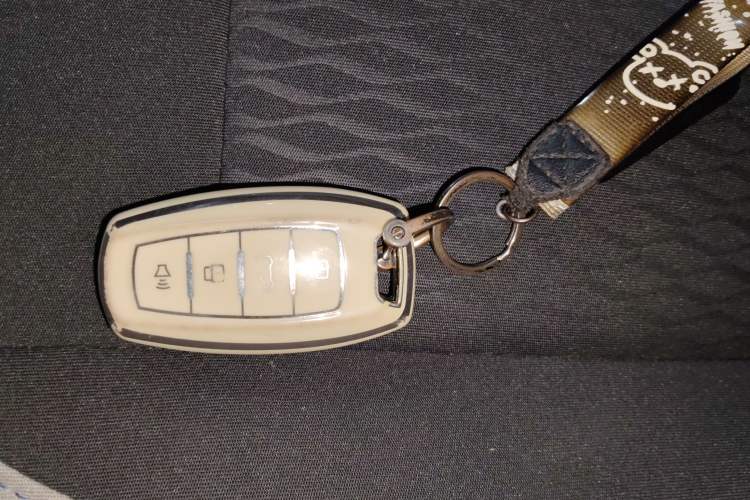 Used ORA Black Cat 2022 301km "Cute Pet" Version – Lithium Iron Phosphate
