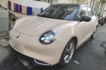 Used ORA Good Cat 2022 400km Standard Range Luxury Version Lithium Iron Phosphate