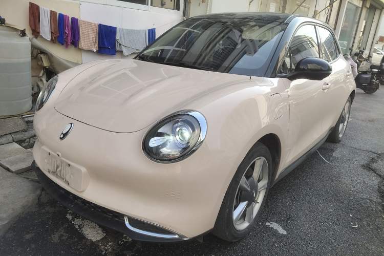 Used ORA Good Cat 2022 400km Standard Range Luxury Version Lithium Iron Phosphate