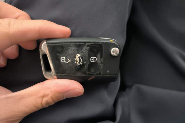 Used Volkswagen Lamando 2019 230TSI DSG Fashion Edition China V Standard
