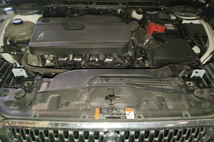 Used Lincoln Corsair 2022 2.0T Two-Wheel Drive Luxury Edition
