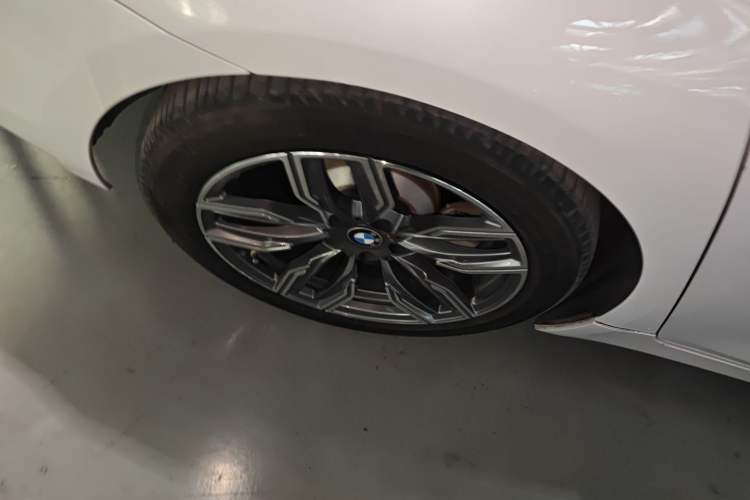 Used BMW 5 Series New Energy 2020 530Le Luxury Package
