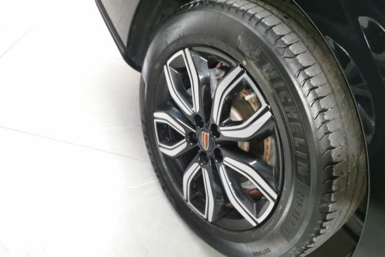 Used Hongqi HQ9 2023 2.0T Smart Connect Flagship Edition
