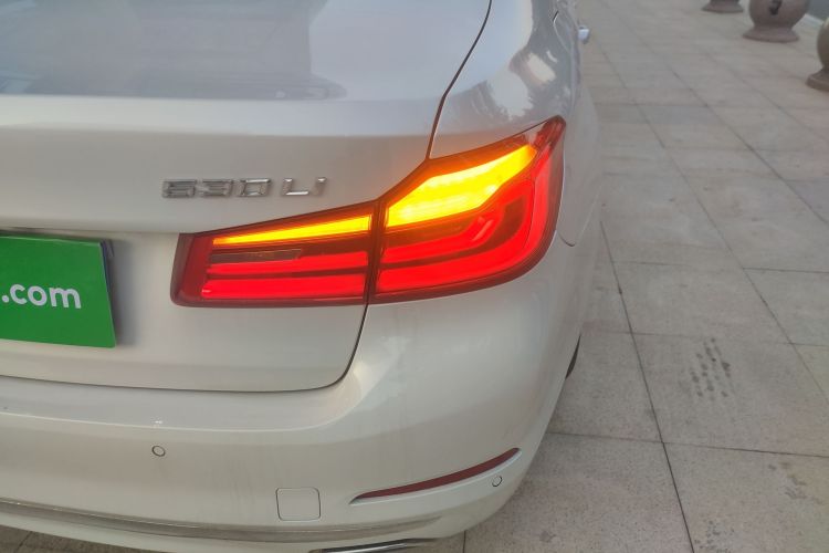 Used BMW 5 Series 2020 530Li Leading Edition Luxury Package