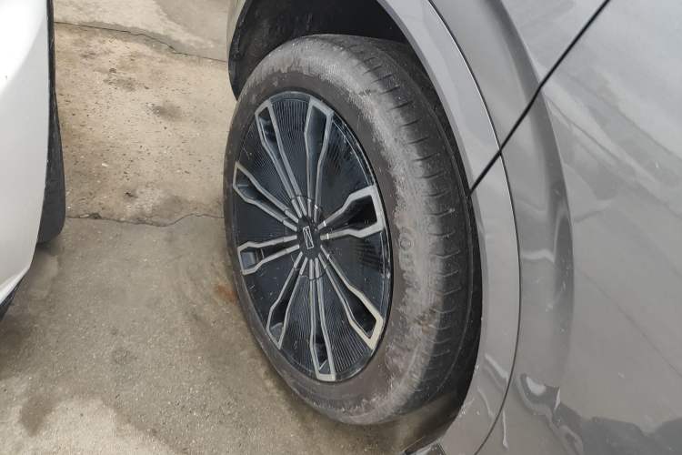 Used  07 2024 Max Extended-Range Edition
