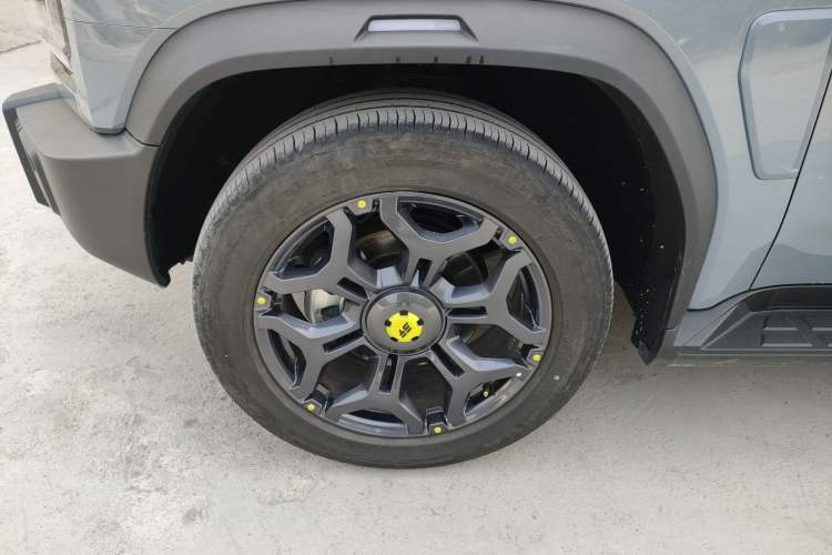 Used  Shanhai T2 2024 C-DM 208KM Mountain & Wilderness Edition
