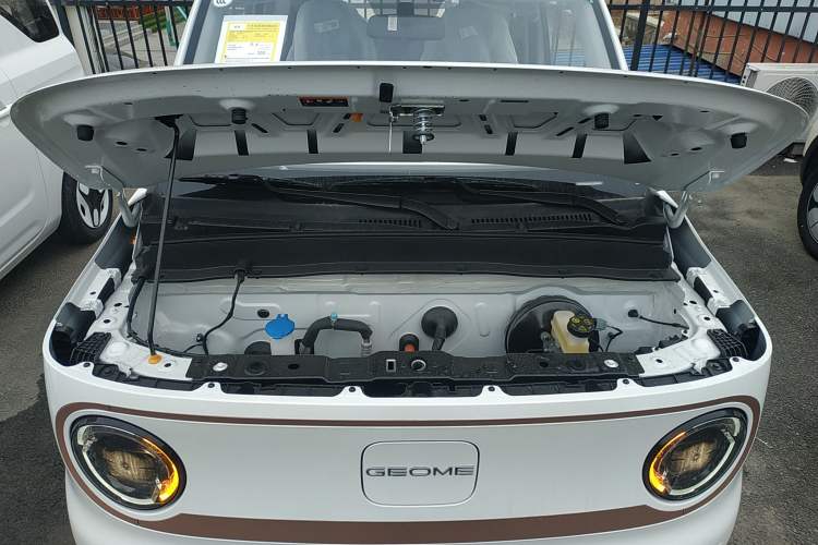 Used  Panda 2024 Panda Mini 200km Endurance Bear
