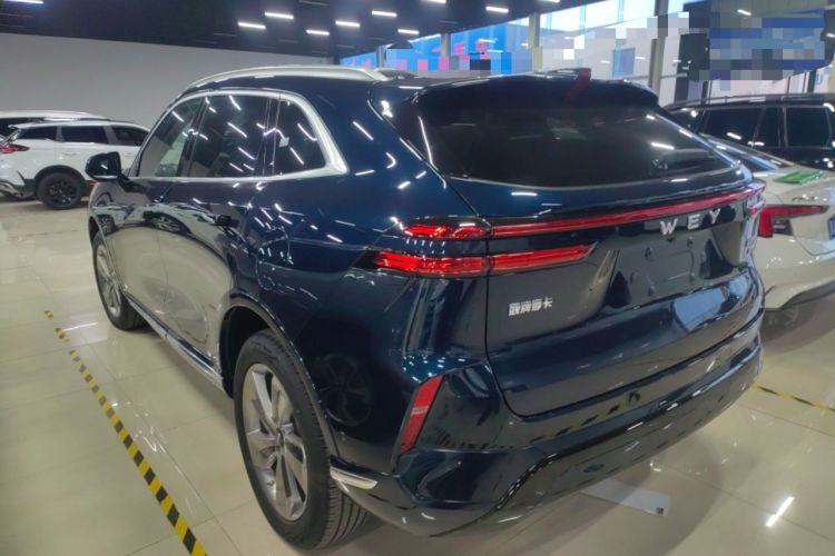 Used Wey Mocha New Energy 2024 Hi4 Four-Wheel Drive Long-Range Version
