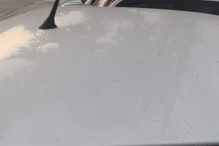 Used Bestune Pony 2025 222km Range Agile Horse