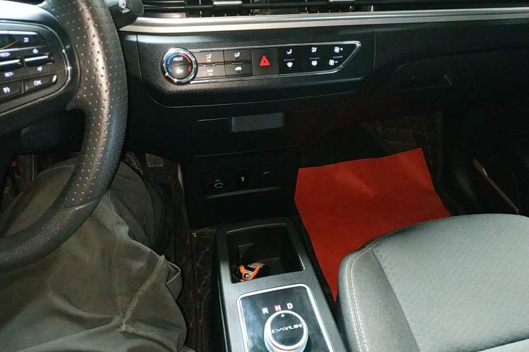 Used Dayun Yuehu 2022 300 Standard Edition
