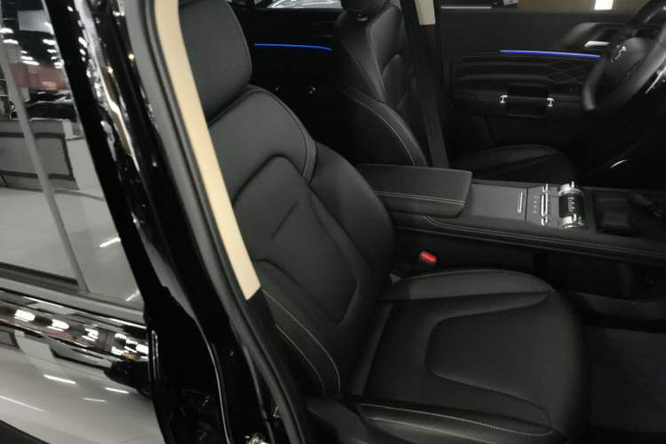 Used Tank 300 2025 2.0T Challenger
