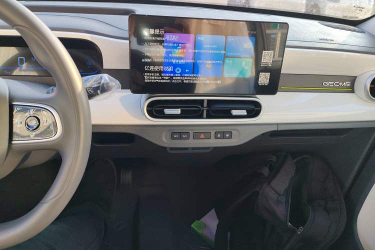 Used  Panda 2025 210 km – Yuanqi Bear
