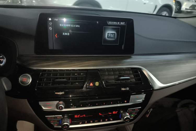 Used BMW 5 Series New Energy 2019 530Le Luxury Package
