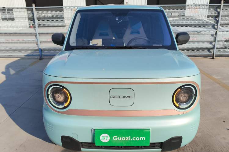 Used  Panda 2024 Panda Mini 200km Endurance Bear