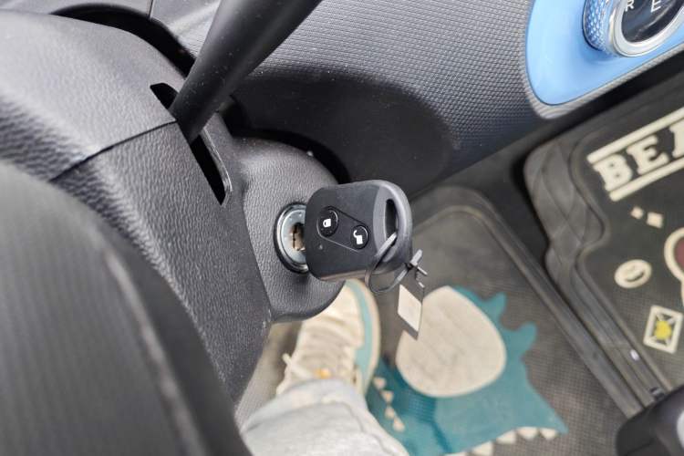 Used REACH MINI Truck 2025 Model 150 km Van—Aggressive Edition
