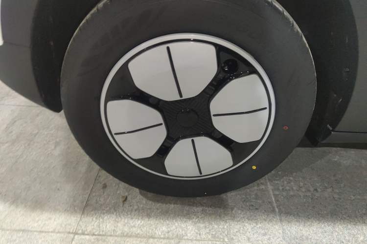 Used  Geome 2025 310km Youth Edition
