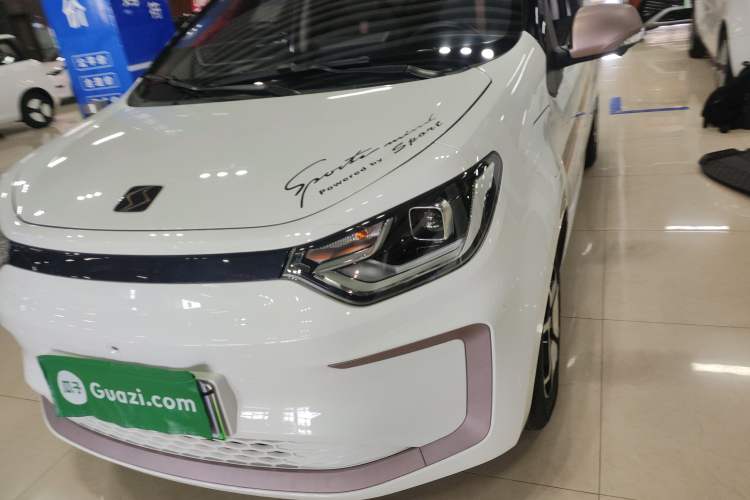 Used SOL E10X 2022 Flower Fairy Design Sunflower