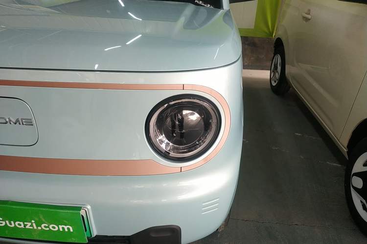 Used  Panda 2024 Panda Mini 200km Endurance Bear
