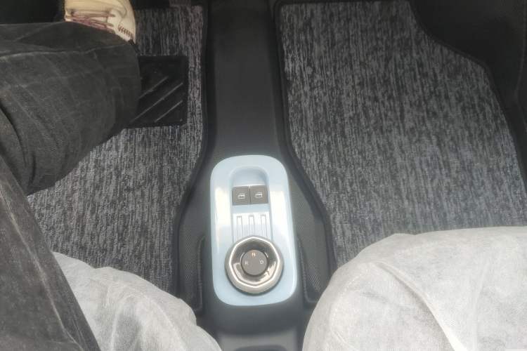 Used  Panda 2024 Panda Mini 200km Endurance Bear
