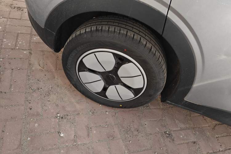 Used  Geome 2025 310km Youth Edition
