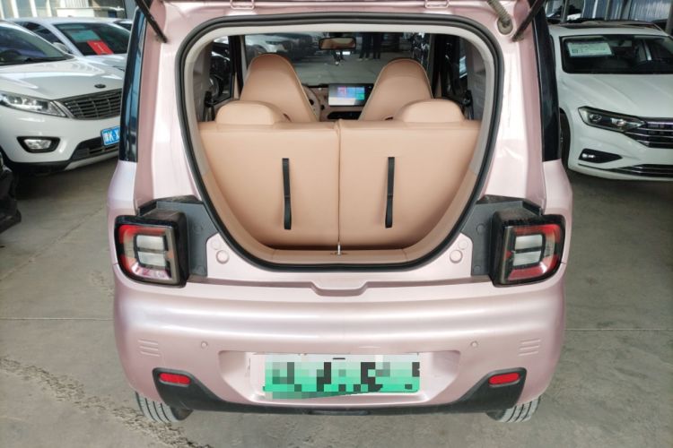 Used  Panda 2023 Panda Mini 200km Endurance Bear