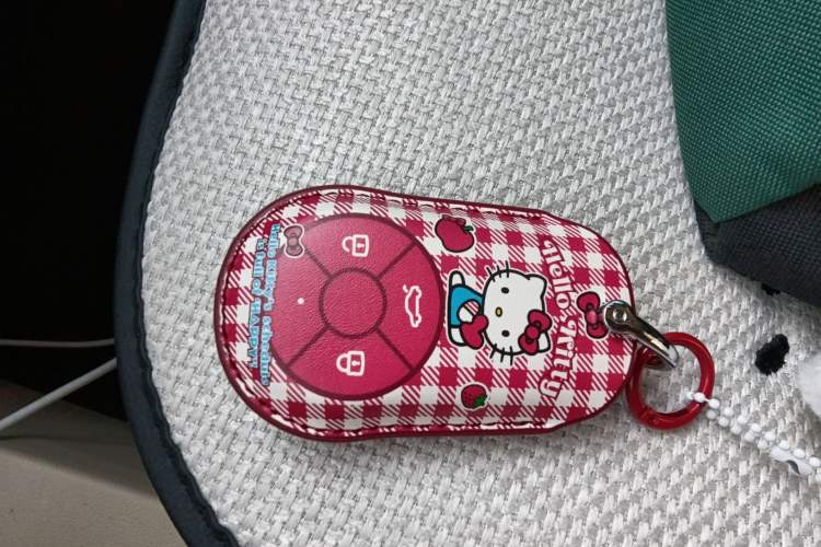 Used ORA Good Cat 2023 401 km Standard Range Premium Trim Ternary Lithium