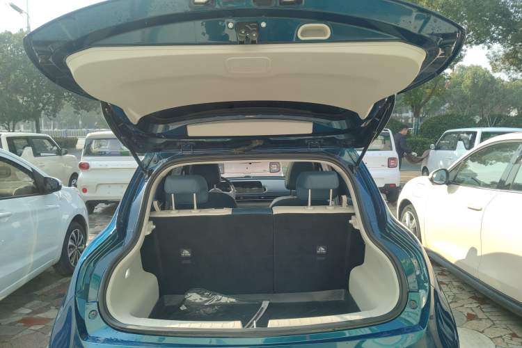 Used ORA Good Cat 2024 401 km Luxury Version
