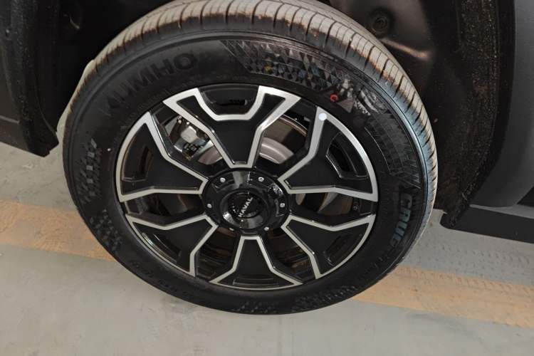 Used Haval H Dog New Energy 
