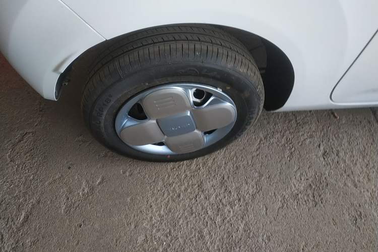 Used  Panda 2024 Panda Mini 200km Endurance Bear
