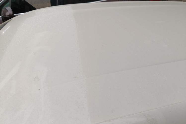 Used BYD Seagull 2023 Flying Edition
