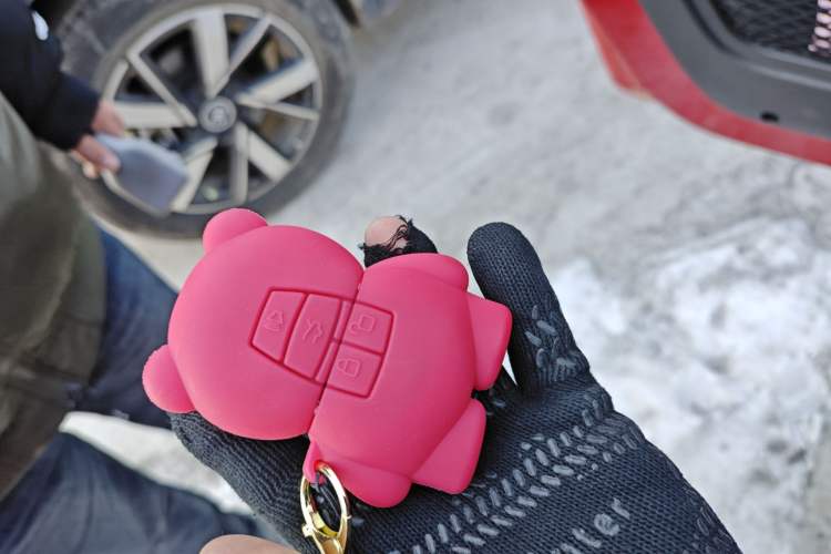 Used  BJ40 2019 PLUS 2.3T Automatic Four-Wheel Drive Premium Edition China VI
