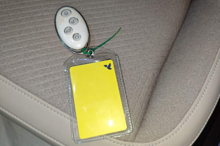 Used  firefly 2025 Free Edition