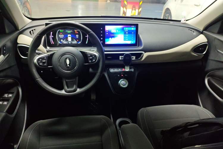 Used ORA White Cat 2020 305 km Luxury Version
