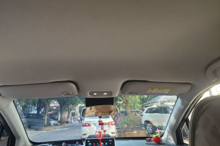 Used NETA V 2021 Long-Range Entertainment Edition Upgrade Model
