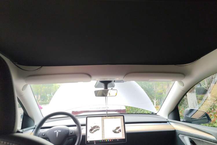 Used Tesla Model Y 2021 Standard Range Rear-Wheel Drive Version
