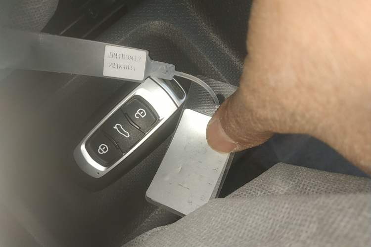 Used  Panda 2025 210 km – Yuanqi Bear
